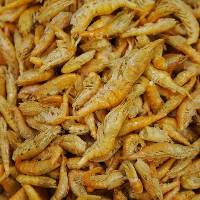 Omega One Freeze-Dried Shrimp Nutri-Treat™ (1.45 oz)