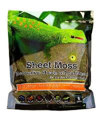 Galapagos Decorative Sheet Moss for Tropical & Forest Terrariums (8 qts)