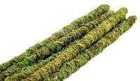 Galapagos Decorative Mossy Sticks (18in)