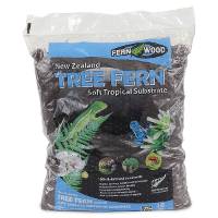 Tree Fern - 10L