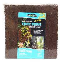 Tree Fern Orchid Board (12" x 12") - 2 Pack