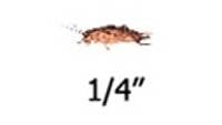 Timberline 1/4" Crickets (500 Count)