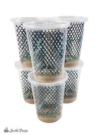 6 PACK - Hornworm Habitat Cup (25 Count Cup) FREE SHIPPING