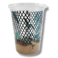 Hornworm Habitat Cup (12 Count Cup)
