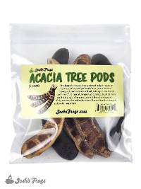 Acacia Tree Pods (Includes 5 Pods)