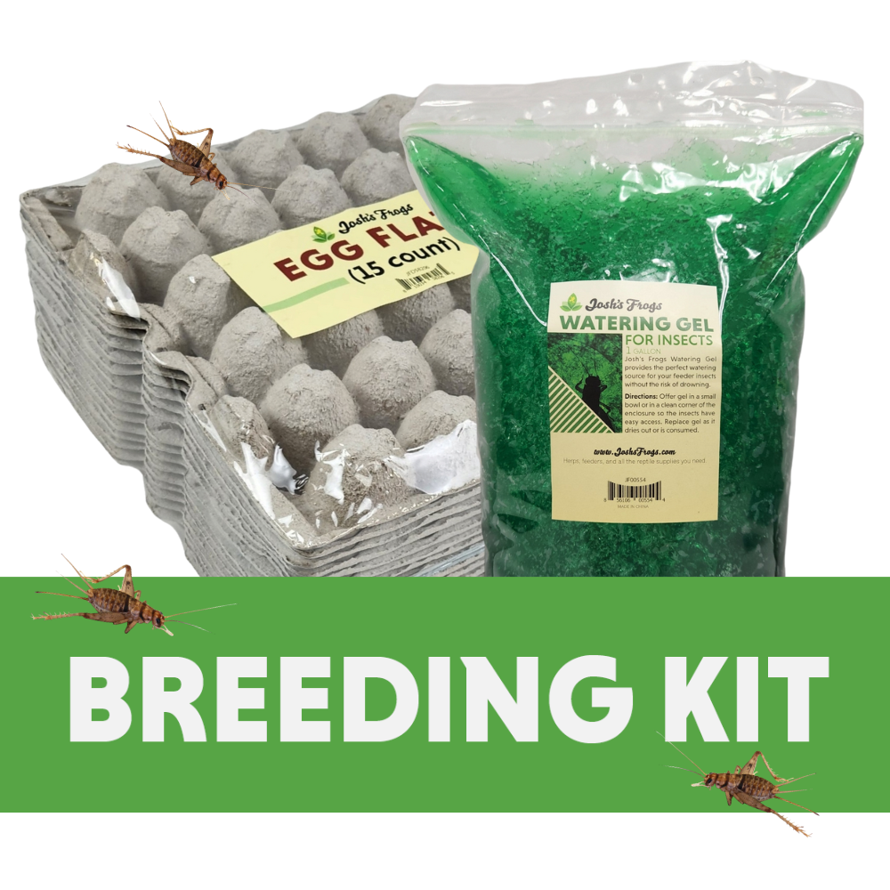 Cricket Breeding Kit