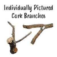 Cork Branch (Individually Pictured)