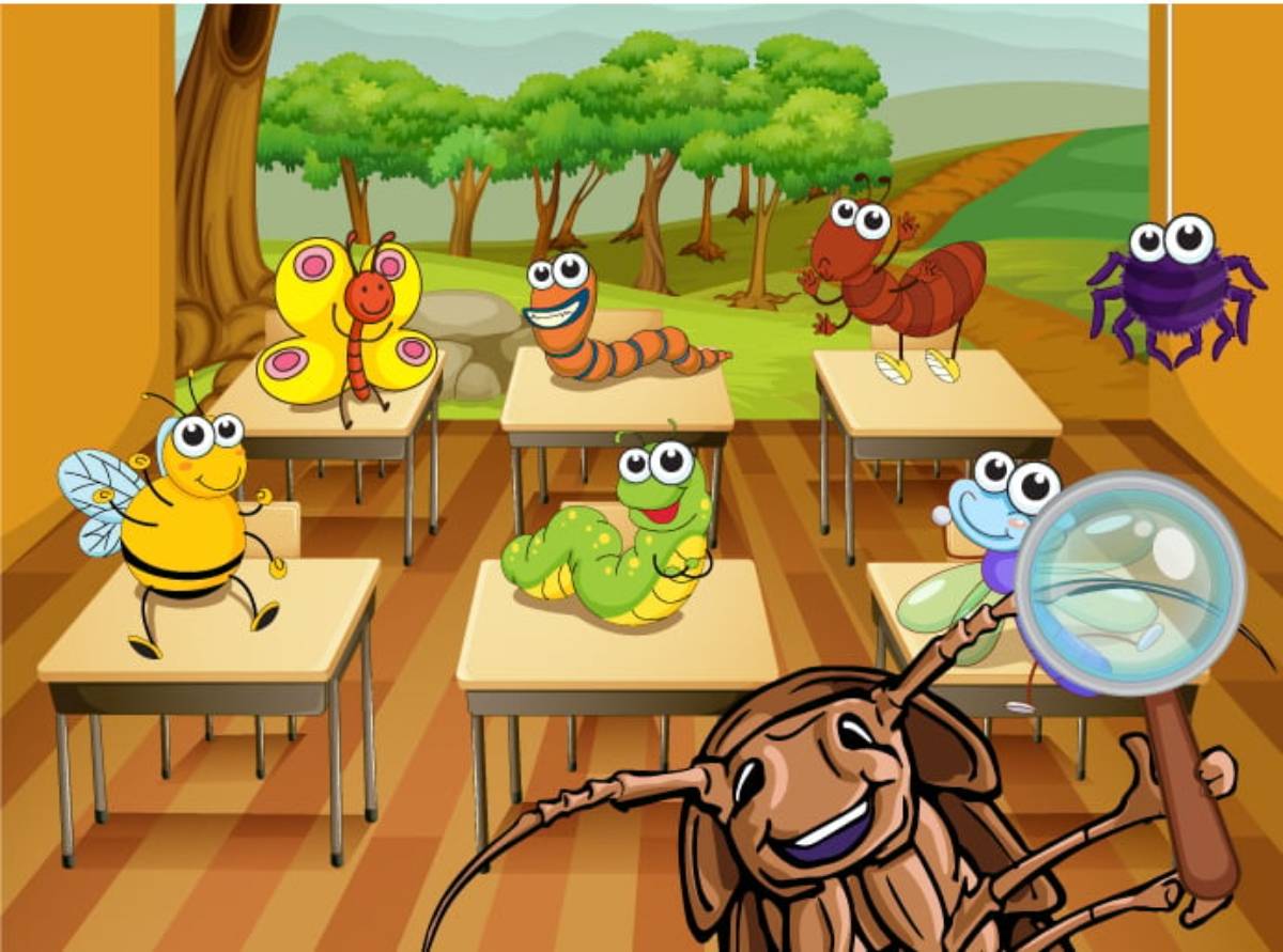 Insects in the Classroom