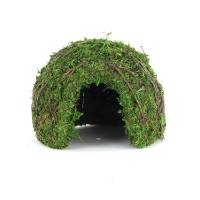 Galapagos Mossy Dome Hide - Vined (6 inch)