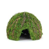 Galapagos Mossy Dome Hide - Vined (9 inch)