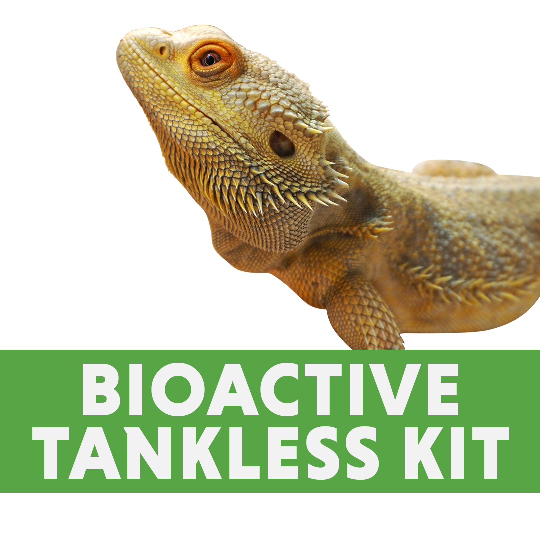 Juvenile Bearded Dragon BIOACTIVE Tankless Habitat Kit (40 Gallon Breeder / 36x18 footprint)