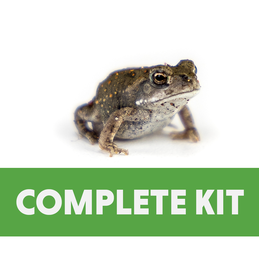 Native Frog & Toad Complete Juvenile Habitat Kit