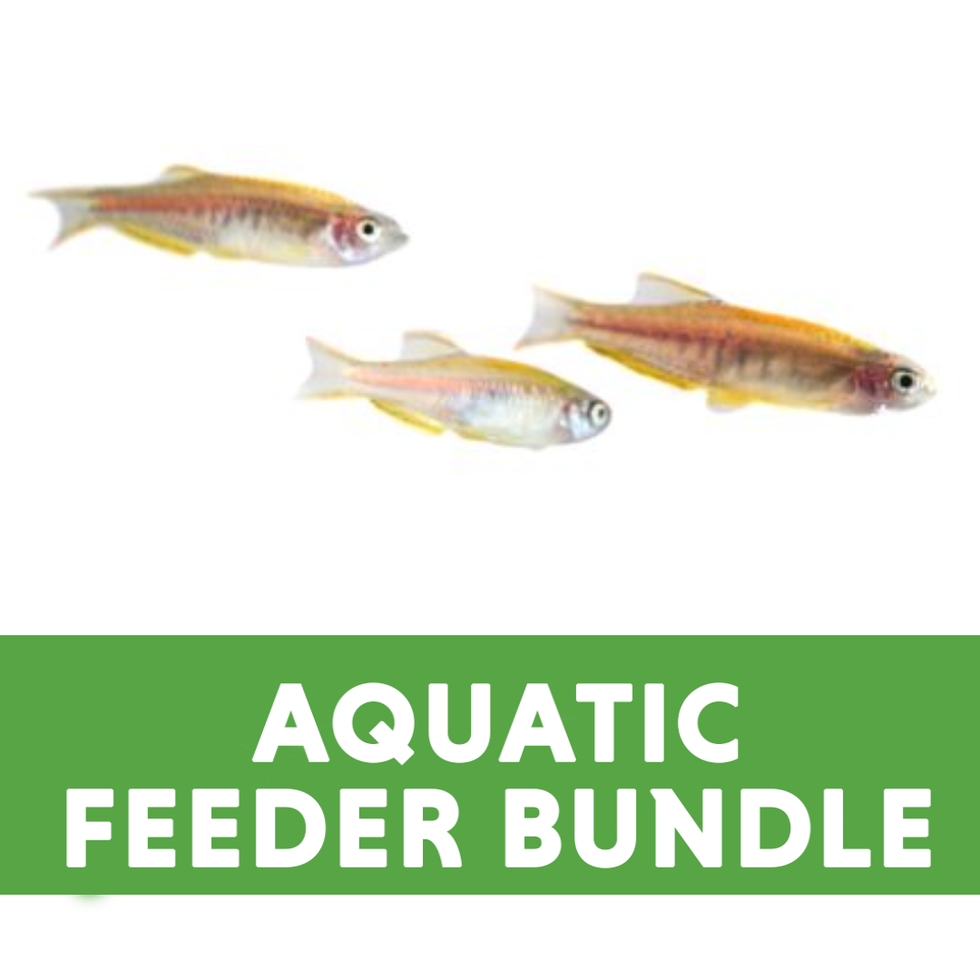 Community Aquarium Feeder Bundle