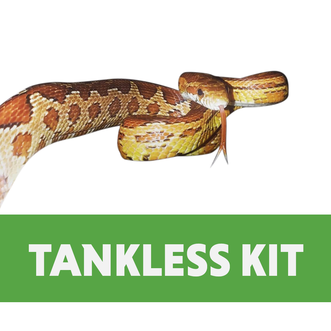 Corn Snake Tankless Habitat Kit (10 Gallon)