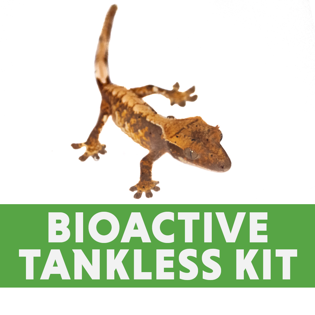 Crested Gecko Tankless Bioactive Vivarium Kit (20 Gallon or 18x18x24)