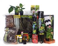 Crested Gecko Complete Habitat Kit (18x18x18) - Includes gecko, food, and FREE STANDARD SHIPPING!