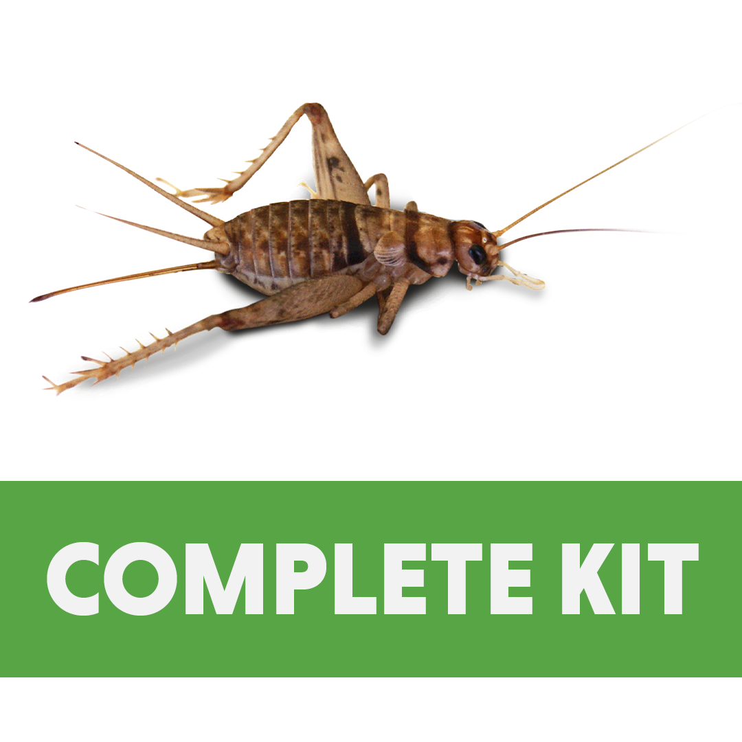 Cricket Care Complete Kit