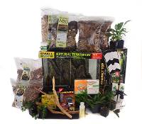 Dart Frog Complete Habitat Kit (18x18x18) - Includes frogs, feeders, and FREE STANDARD SHIPPING!