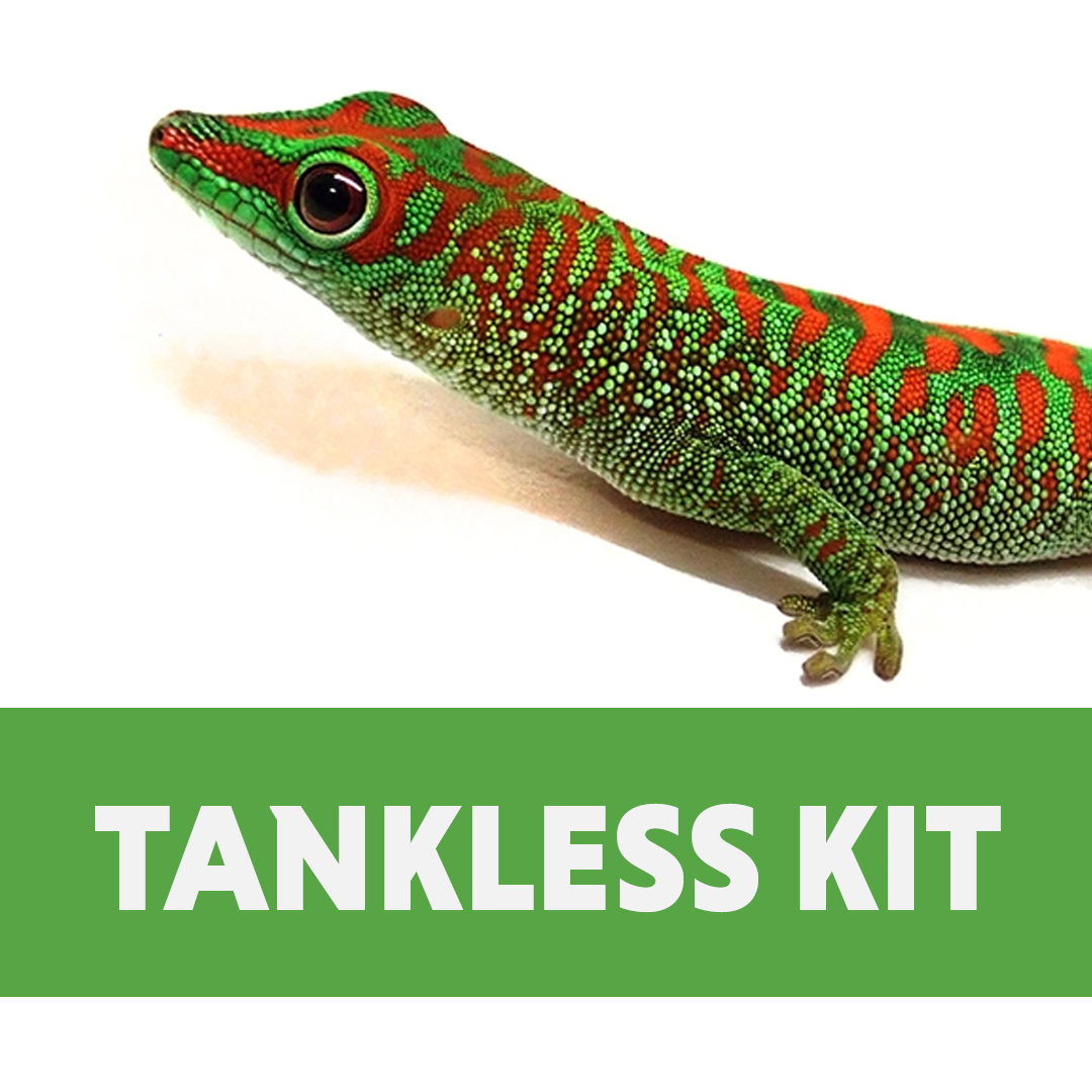 Day Gecko Habitat Tankless Kit (10 Gallon)