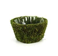 Galapagos Decorative Moss Round Planter - Roseville (Small)