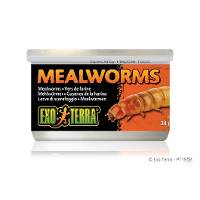 Exo Terra Mealworms (1.2oz)