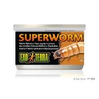 Exo Terra Superworms (1.1oz)