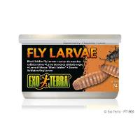 Exo Terra Black Soldier Fly Larvae (1.2oz)