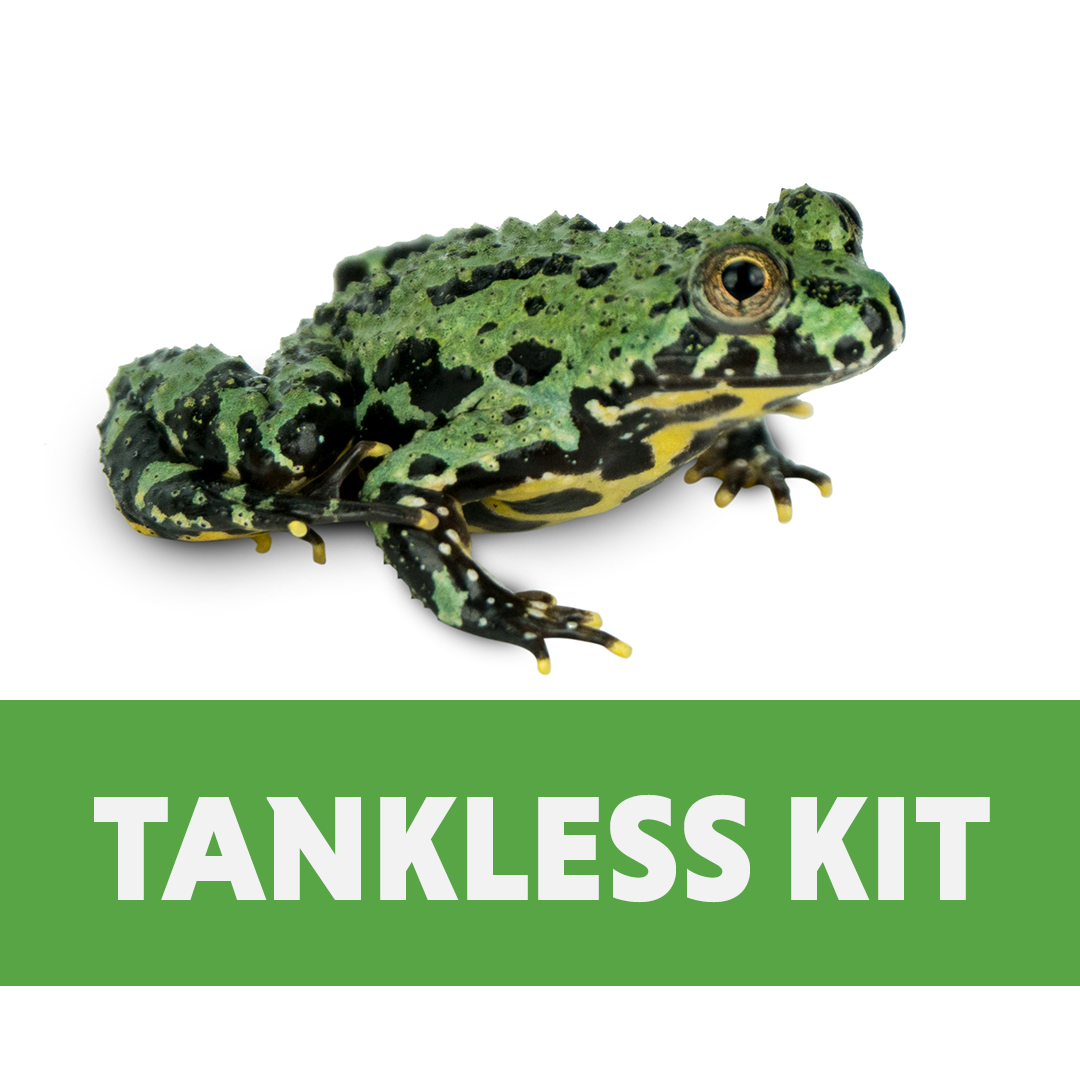 Fire-Bellied Toad Tankless Habitat Kit (10 Gallon)