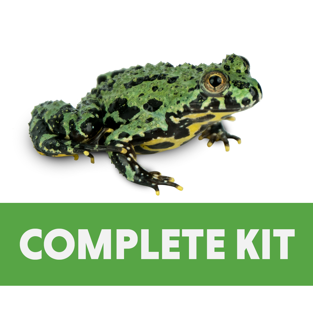 Fire-Bellied Toad Complete Habitat Kit (18x18x12)