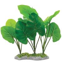 Fluval Decorative Plants - Echinodorus with Moss Base (11.5 inch)