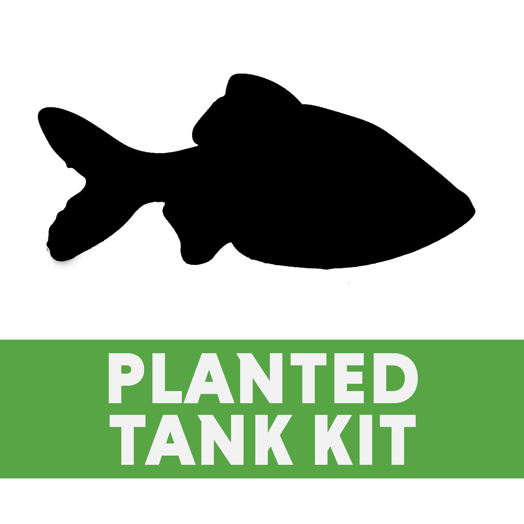 Fluval Flex 9 Tropical Planted Tank BUNDLE (9 gallon - black)