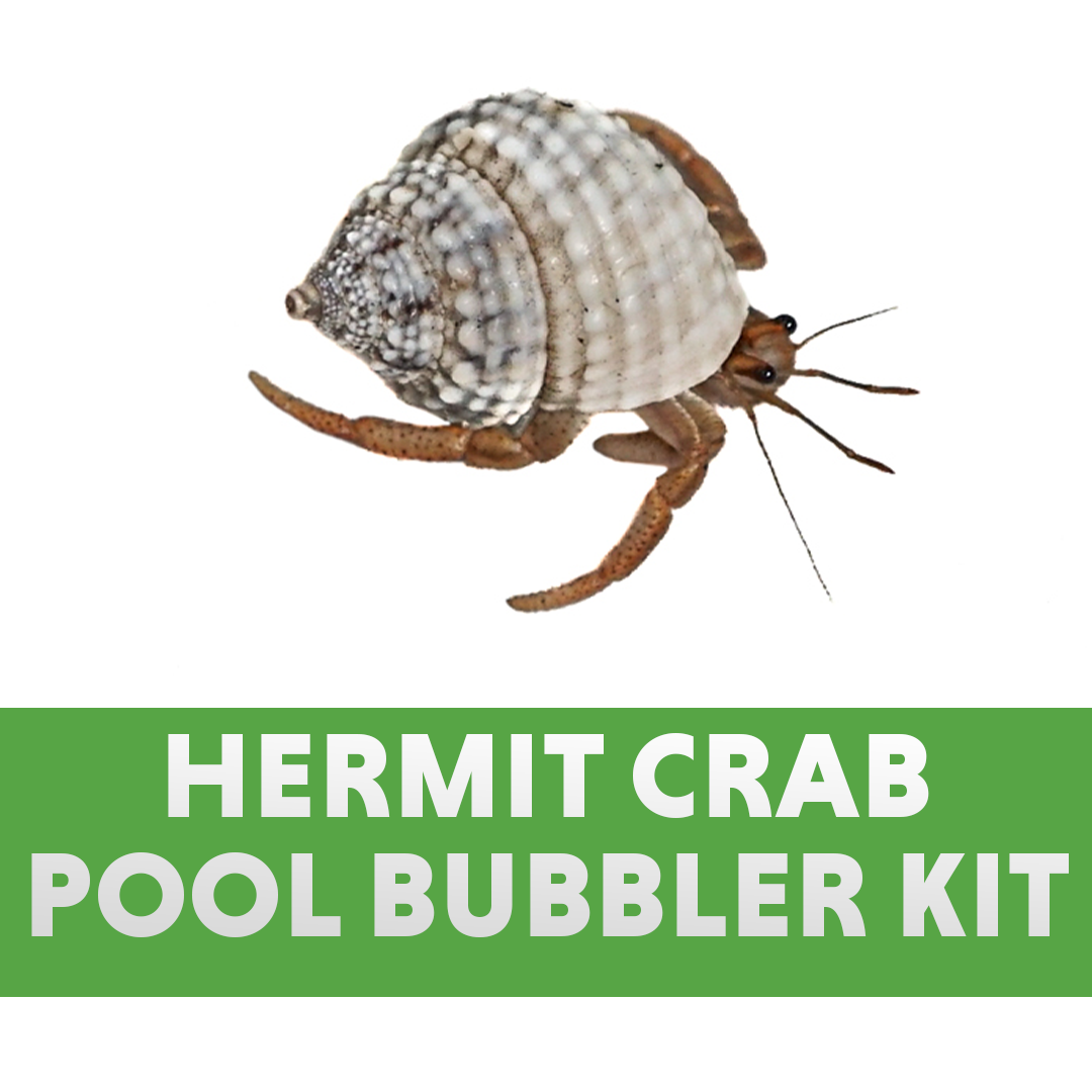 Josh's Frogs Hermit Crab Pool Bubbler Kit (Small)