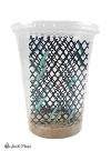 Hornworm Habitat Cup (25 Count Cup)