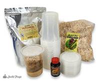Hydei Fruit Fly Culture Kit with Supplement (makes 20- 32 oz Fruit Fly Cultures)