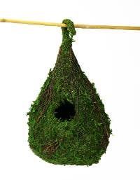 Galapagos Decorative Moss Birdhouse - Raindrop