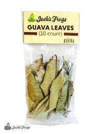 Josh's Frogs Guava Leaves (10 count)