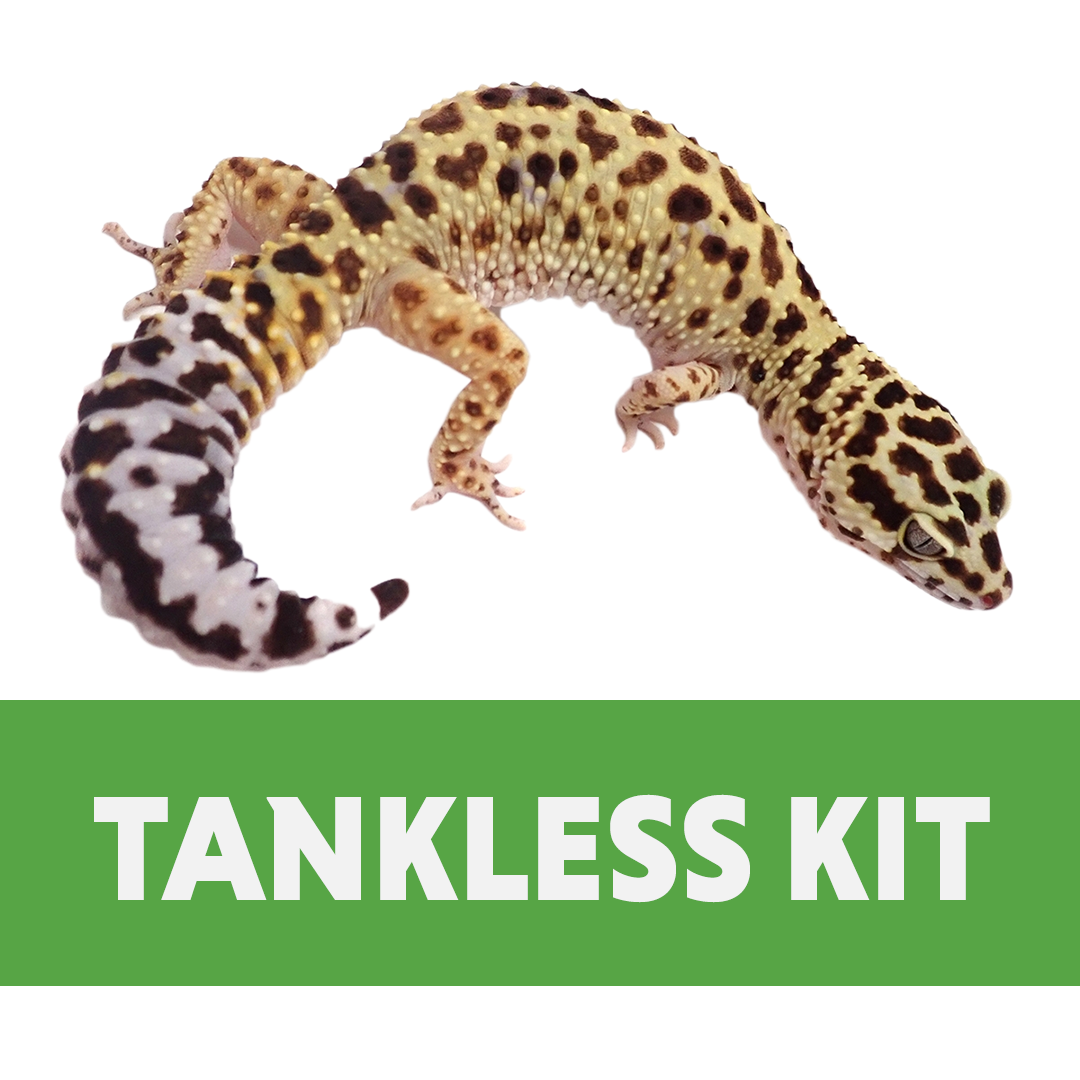 Leopard Gecko Tankless Habitat Kit (20 Gallon Long/29 Gallon)