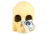Magnaturals Habi-Scape Skull Cave (Aged)
