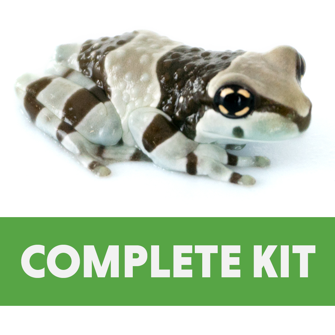Amazon Milk Frog Complete Juvenile Habitat Kit
