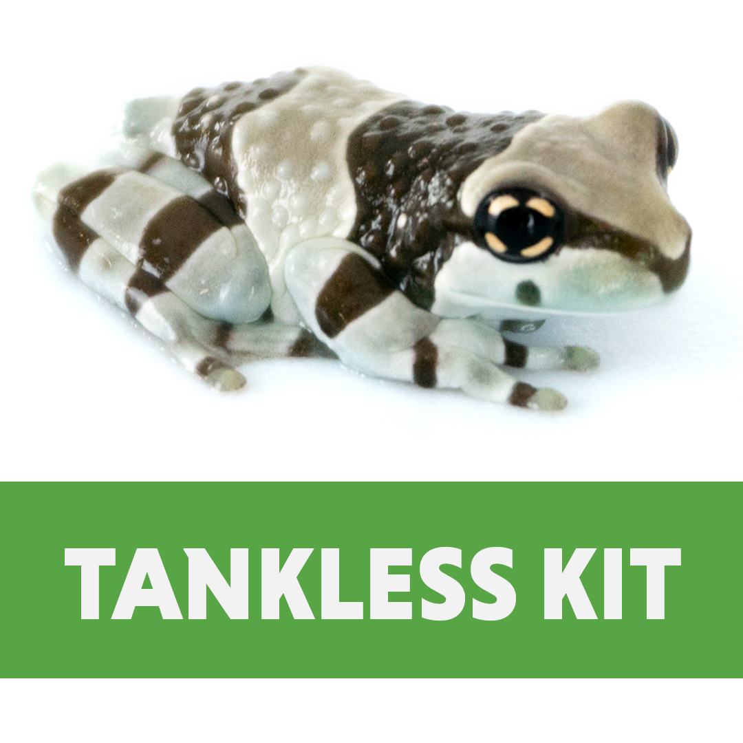 Amazon Milk Frog Tankless Habitat Kit (20 Gallon High)