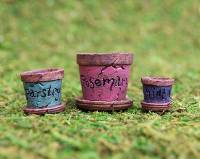 Miniature Herb Pots (Set of 3) by Wholesale Fairy Gardens