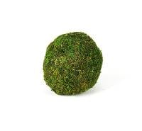 Decorative Moss Ball 4"