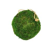 Decorative Moss Ball 6"