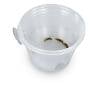 Mounted Suction Feeding Cup for Geckos (4 oz Cup) SHIPS WITH ANIMALS