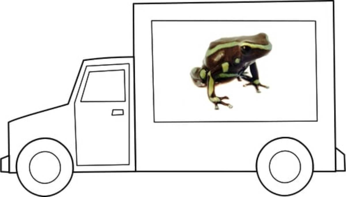 Moving with frogs