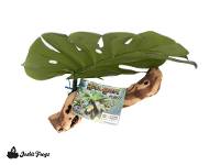 Pet-Tekk Habi-Scape Single Leaf Hide Plant (Large)