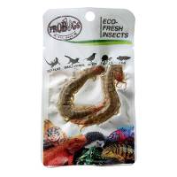 SINGLE PACK Probugs Eco-Fresh Centipede FREE SHIPPING
