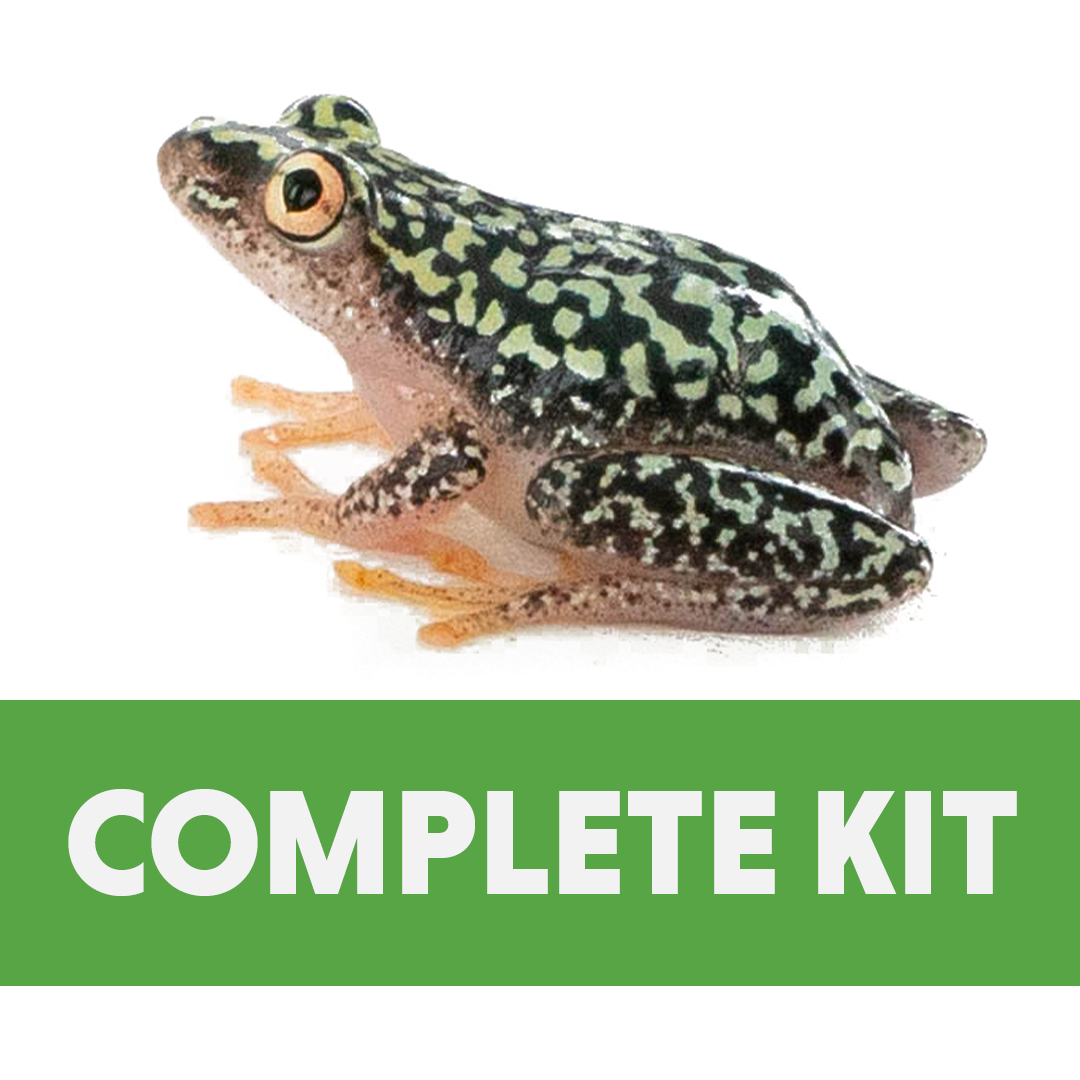 Reed Frog Complete Habitat Kit (12x12x18)