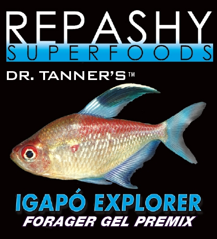 Repashy Igapó Explorer Forager Gel Premix for Rainforest Fish (70.4 oz 4.4 lbs Jar)
