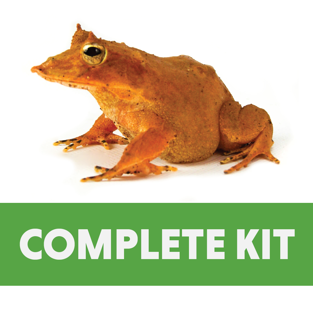 Solomon Island Leaf Frog Complete Habitat Kit (24x18x18 Exo Terra)